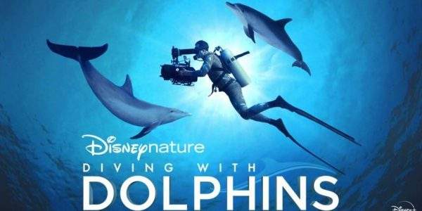 دانلود مستند غواصی با دلفین ها از مجموعه ویژه برنامه با دوبله شبکه من و تو