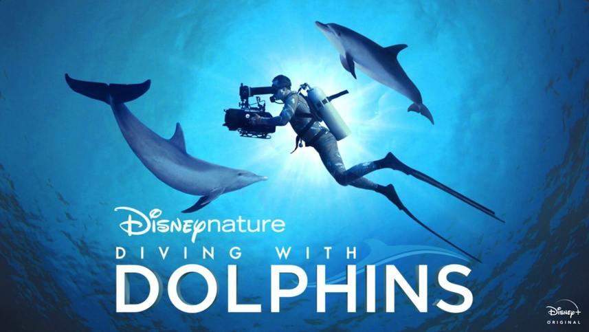 دانلود مستند غواصی با دلفین ها از مجموعه ویژه برنامه با دوبله شبکه من و تو