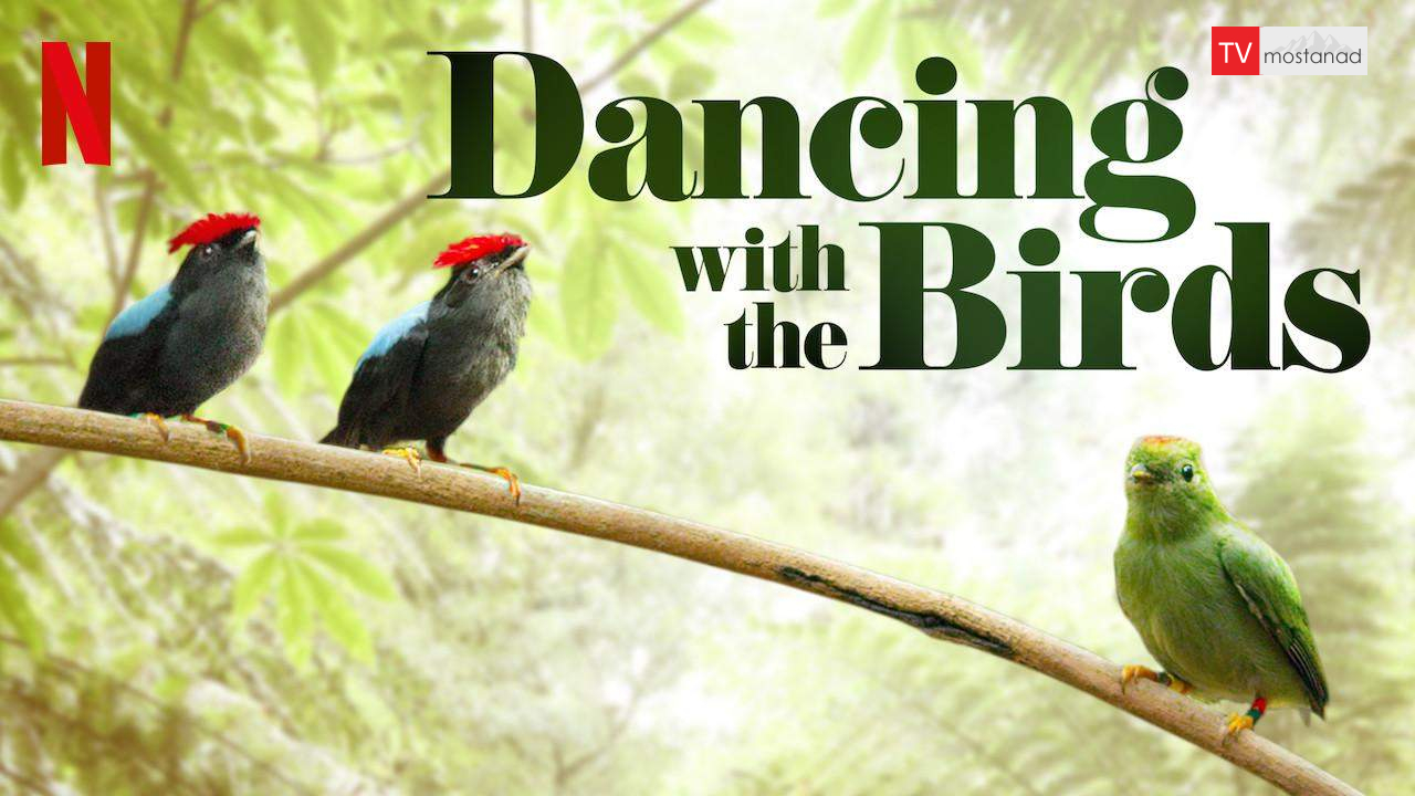 Dancing with the Birds دانلود مستند رقص با پرندگان از مجموعه ویژه برنامه با دوبله شبکه من و تو