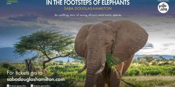 دانلود مستند همگام با فیل ها از مجموعه ویژه برنامه با دوبله شبکه من و تو