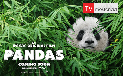 Pandas ( 2018 ) دانلود مستند پانداها از مجموعه ویژه برنامه با دوبله شبکه من و تو