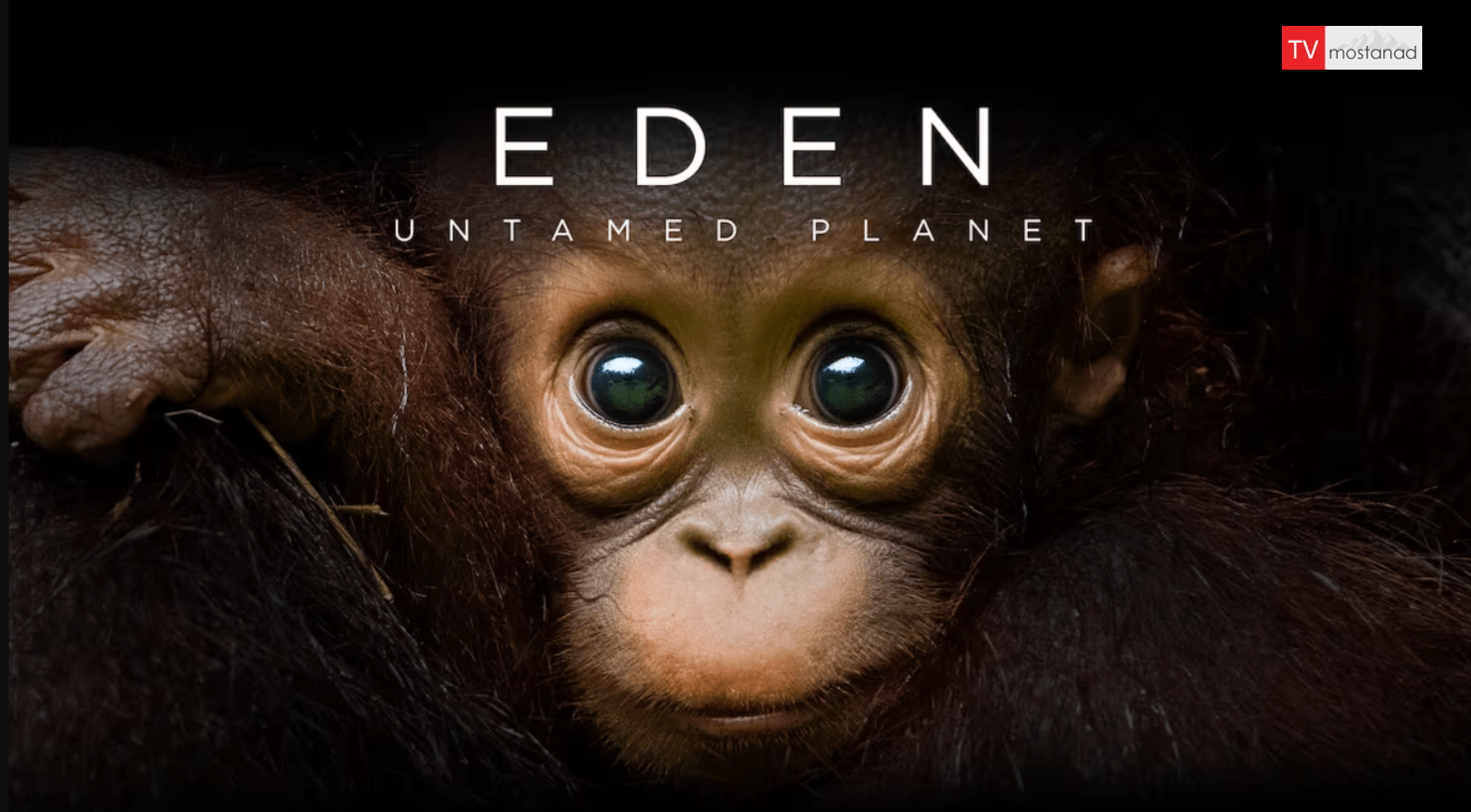 Untamed Paradise (6 episodes) دانلود مستند بهشت رام نشده (6 قسمت) از مجموعه ویژه برنامه با دوبله شبکه من و تو