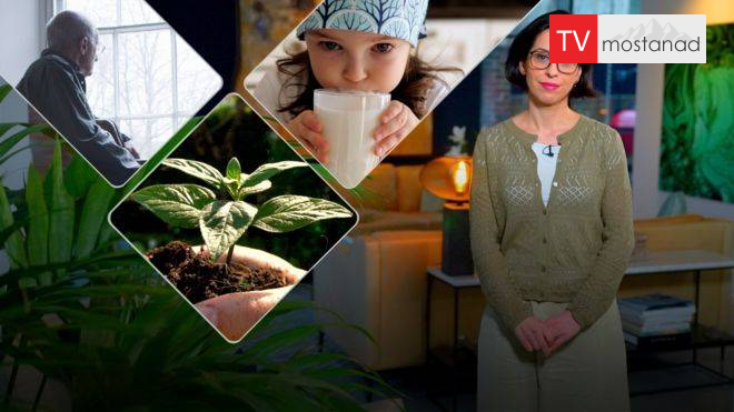 Prevention of the harm of air pollution – herbal milks دانلود مستند پیشگیری از ضرر آلودگی هوا / شیرهای گیاهی از مجموعه ۳۷ درجه با دوبله بی بی سی فارسی