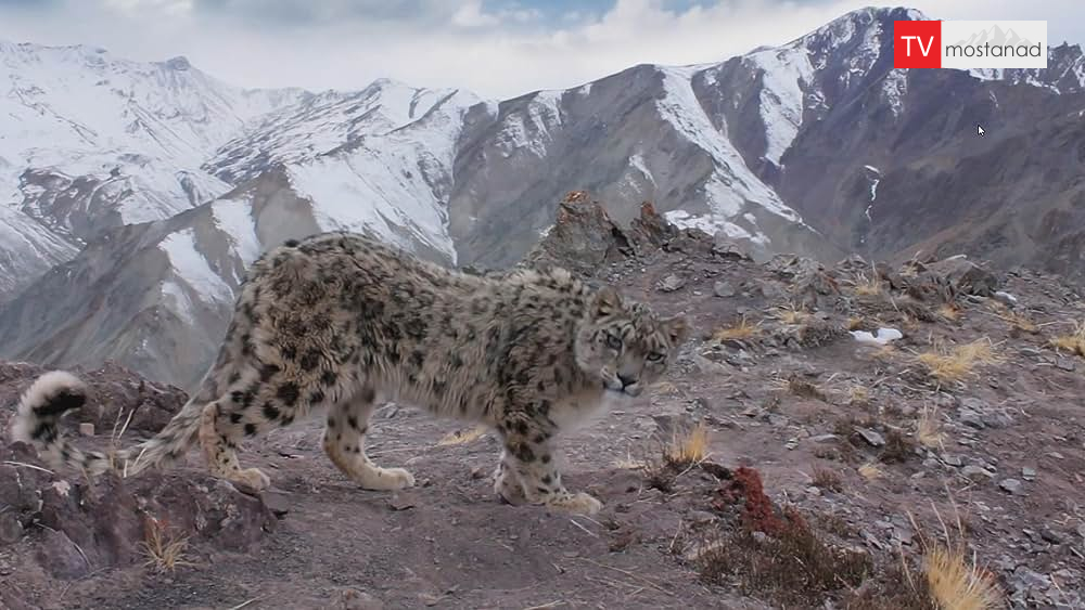 mountains دانلود مستند کوه ها از مجموعه سیاره زمین 2 با دوبله فارسی شبکه BBC