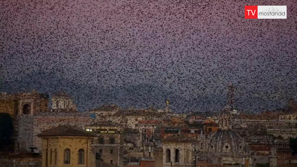 7343 دانلود مستند شهرها از مجموعه سیاره زمین 2 با دوبله فارسی شبکه BBC