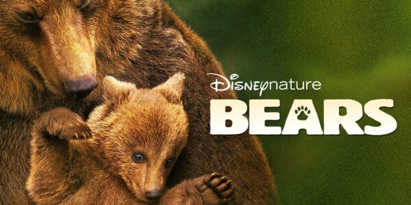 دانلود مستند خرس ها از مجموعه ویژه برنامه با دوبله فارسی شبکه Other